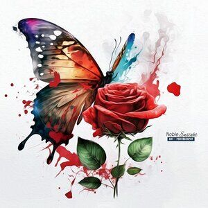 5x7 Butterfly with a Single Red Rose Watercolor Oil Painting Art Print